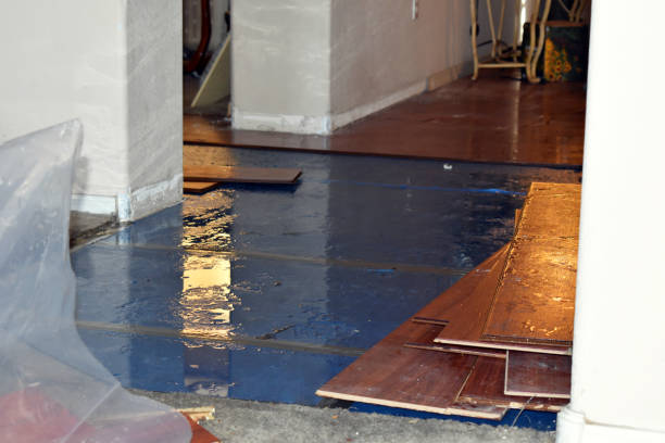 Professional Water Damage technician working in Triangle, VA
